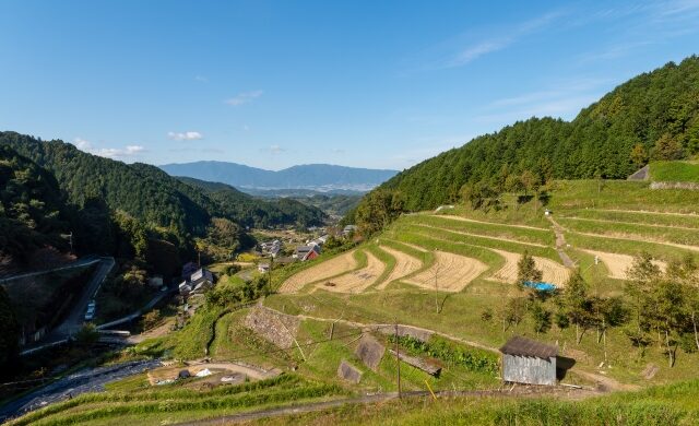 時速4キロで歩く飛鳥と、足指がつなぐ身体の知恵
